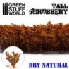 Arbusti Alti - Secco naturale (9933)