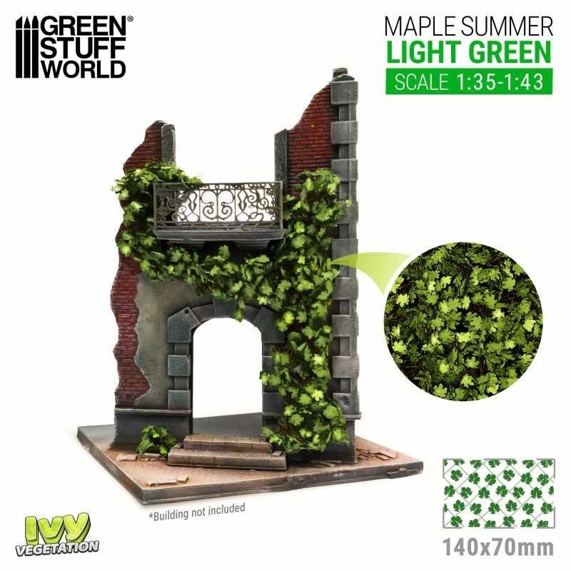 Edera in miniatura - Acero verde chiaro - Grande (4640)