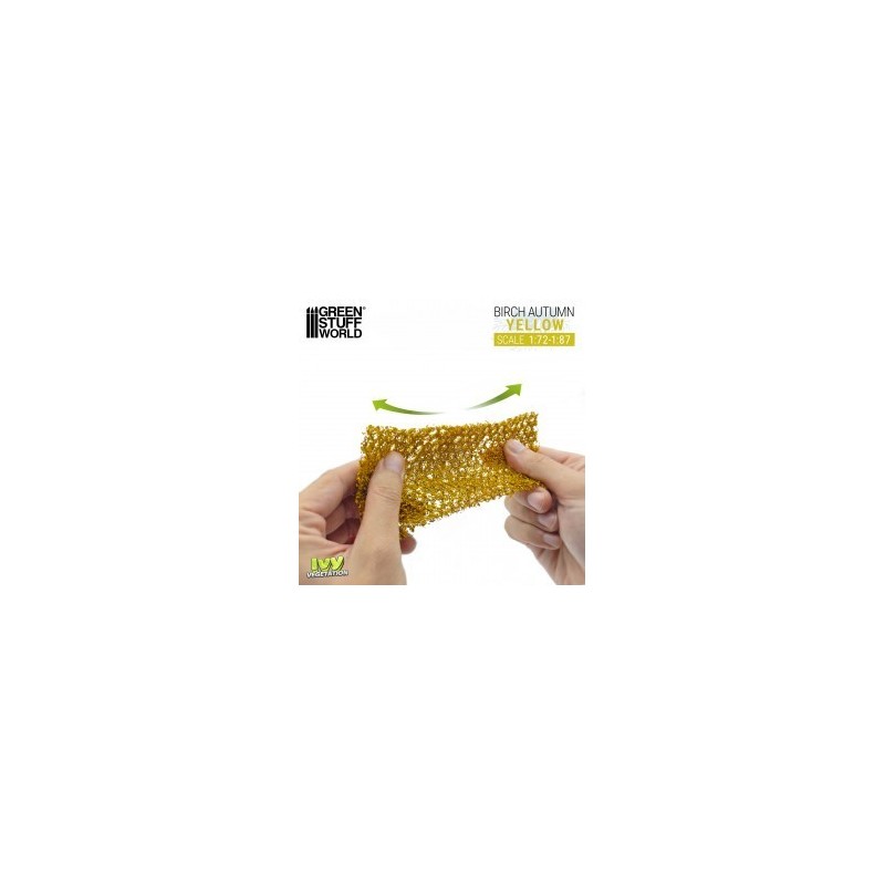 Edera in miniatura - Betulla Giallo - Piccolo (4651)