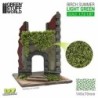 Edera in miniatura - Betulla verde chiaro - Piccolo (4649)