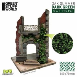 Edera in miniatura - Quercia verde scuro - Grande (4630)