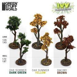Edera in miniatura - Quercia verde scuro - Grande (4630)