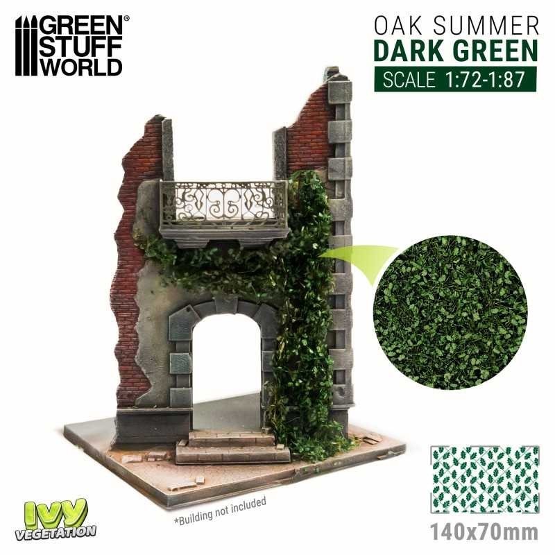 Edera in miniatura - Quercia verde scuro - Piccolo (4631)