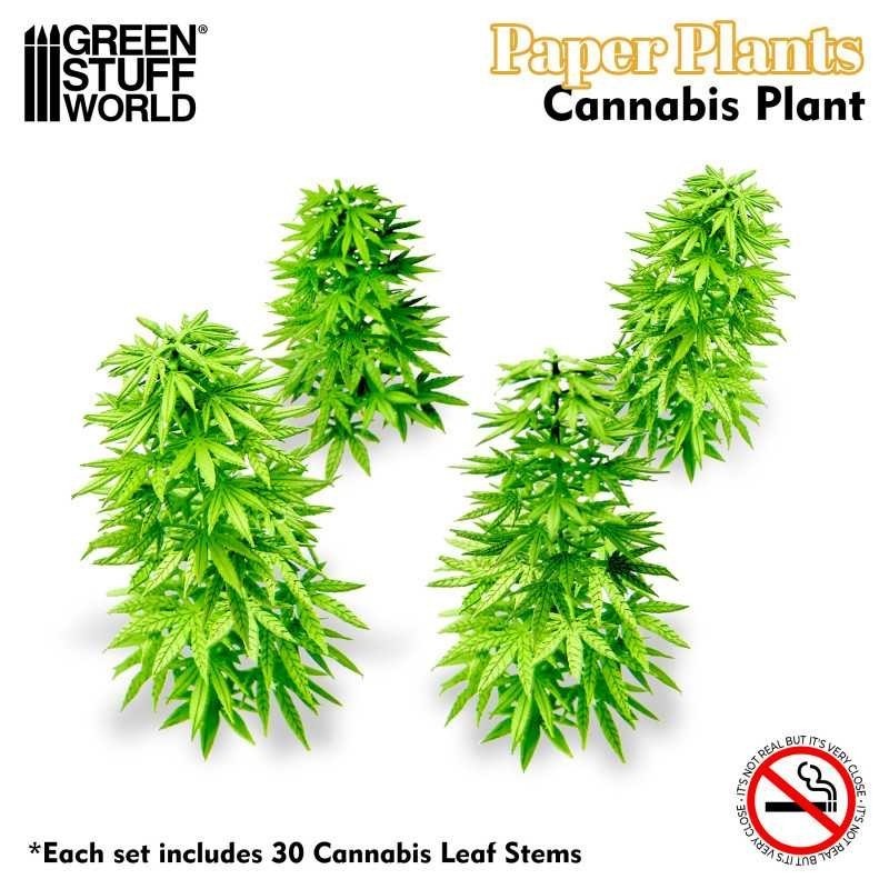 Piante di Carta - Cannabis (10448)