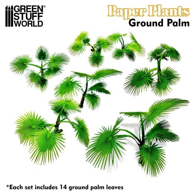 Piante di Carte - Palma Cycas Revoluta (10364)