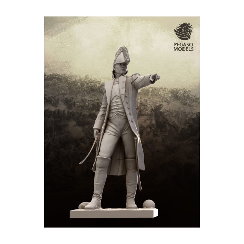 SUBALTERN OFFICER IN CAMPAIGN UNIFORM, 1808 (75mm)