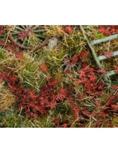 Foglie di acero bucate...