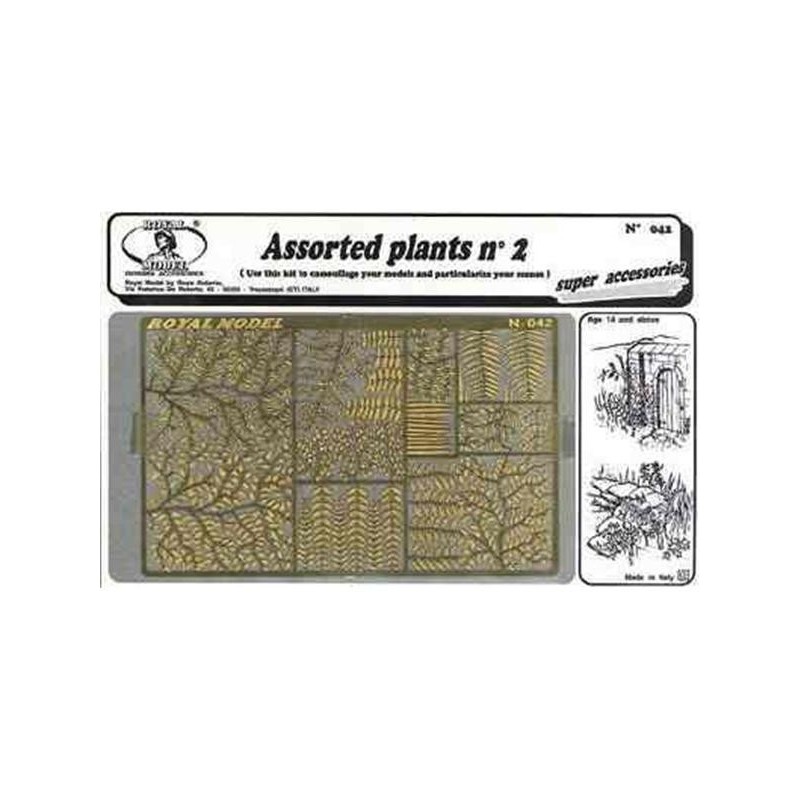 Piante assortite (tipo 2)