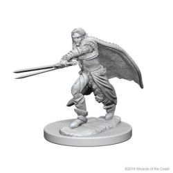 D&D Nolzur Mum Elf Male Ranger