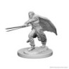 D&D Nolzur Mum Elf Male Ranger
