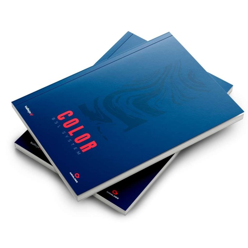 Color Bsl System Book By Angel Giraldez (lingua Inglese)