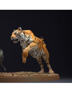 Tigre (varie scale)