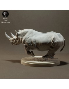Rinoceronte 2 (varie scale) 2