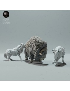 Lupi artico singolo (varie... 2