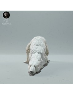 Orso singolo 1 (varie scale) 2