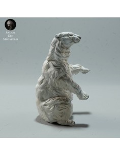 Orso singolo 2 (varie scale)