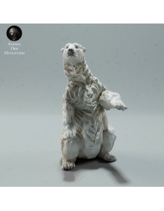 Orso singolo 2 (varie scale) 2