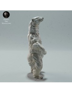 Orso singolo 3 (varie scale)