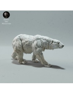 Orso singolo 4 (varie scale)