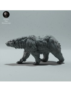 Orso singolo 4 (varie scale) 2