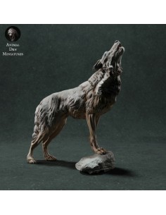 Lupo che ulula (varie scale)