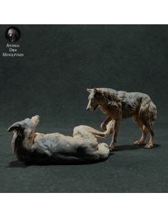 Lupi che giocano (varie scale)