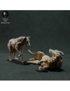 Lupi che giocano (varie scale) 2