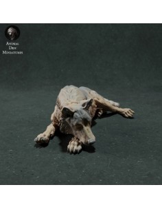 Lupa sdraiata (varie scale) 2