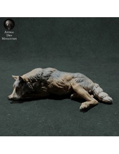 Lupa sdraiata (varie scale)