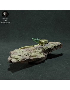 Lucertola (varie scale) 2