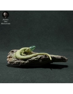 Lucertola (varie scale)