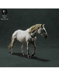 Cavallo singolo (varie scale) 2