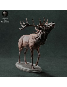 Cervo richiamo (varie scale)