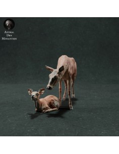 Cerva e cerbiatto (varie...