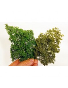 Cespugli - Inizio estate (x1) 2