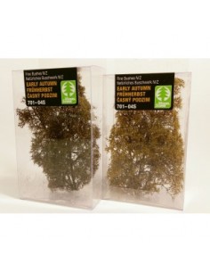 Cespugli - Inizio autunno (x1)