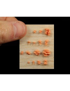 Basing Bits 1 - Funghi