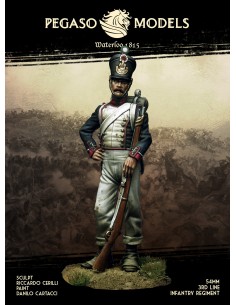 Waterloo 1815: Rivals... 2