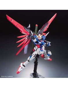 Rg Gundam Destiny 1/144 2