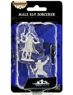 Pathfinder Dcum Elf Male... 2