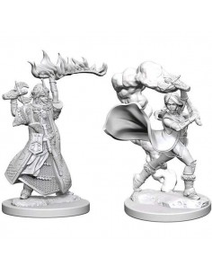 Pathfinder Dcum Human...