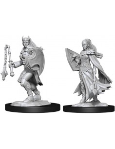 D&D Kalashtar Cleric