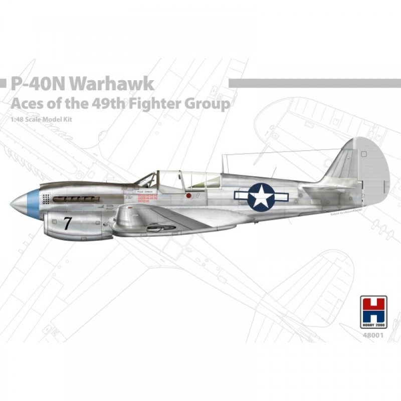 P-40N Warhawk Aces of The 49th Fighter Group (1/48)