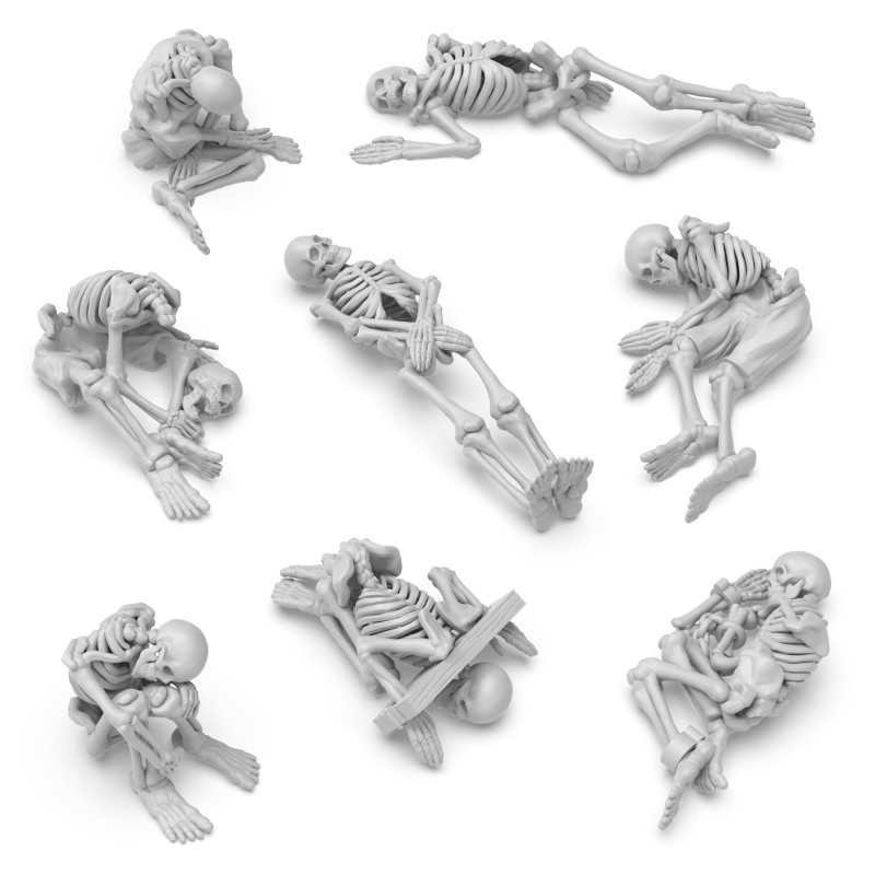 Scheletri umani 1:48 (12732)