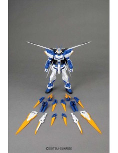 Mg Gundam Astray Blue Frame... 2