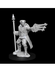 D&D Nolzur Mum Multi Male... 2