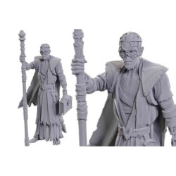 Dungeons & Dragons - Nolzur Marvelous Miniatures - Special Edition Baldur Gate 3 — Volo & Withers