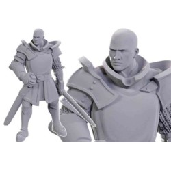 Dungeons & Dragons - Nolzur Marvelous Miniatures - Special Edition Baldur Gate 3 — Ulder Ravengard & Zevlor