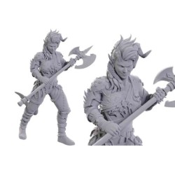 Dungeons & Dragons - Nolzur Marvelous Miniatures - Special Edition Baldur Gate 3 — Wyll & Karlac