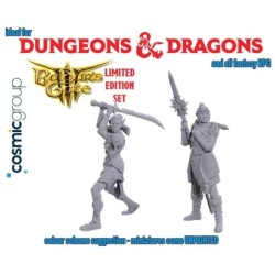 Dungeons & Dragons - Nolzur Marvelous Miniatures - Special Edition Baldur Gate 3 — Lae Zel & Shadowheart
